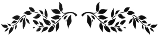 vinette design
